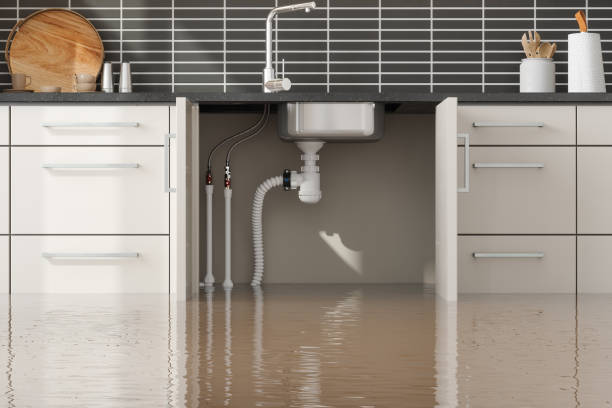 Best Basement Water Damage Restoration in Eclectic, AL